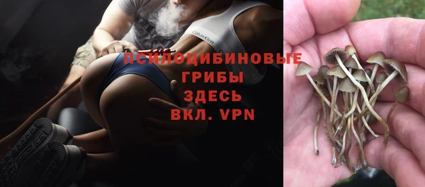хмурый Алзамай