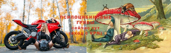 МДПВ Алексин