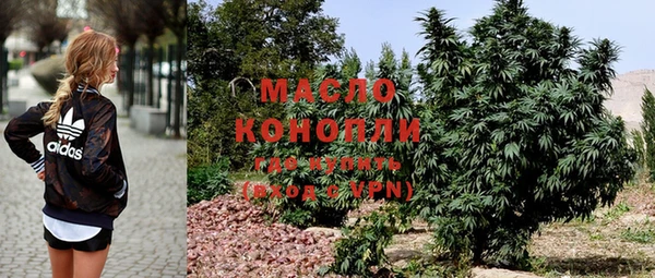 МДПВ Алексин
