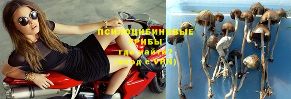 хмурый Алзамай