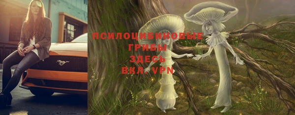 хмурый Алзамай